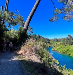 Explore Tongariro National Park 3rd December 2024 2