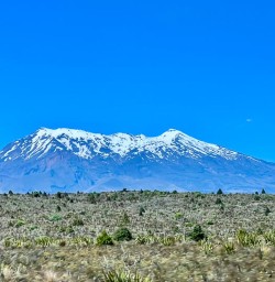 Explore Tongariro National Park 3rd December 2024 3