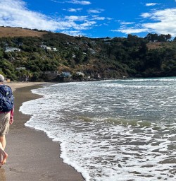 Godley Heads hiking and adventure tours 2