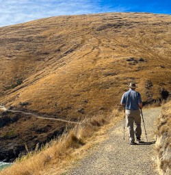 Godley Heads hiking and adventure tours 