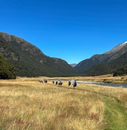 4 Hiking Siberia Valley in Mt Aspiring National Park Feb2025