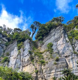 Hiking and adventure tours in Paporoa National Park