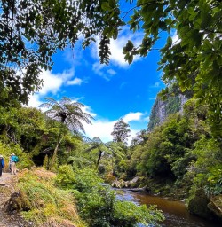 Hiking tours in Paporoa National Park