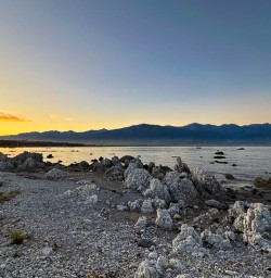 Kaikoura 