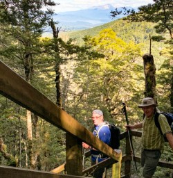 4 Kepler Track Guided Day Walk