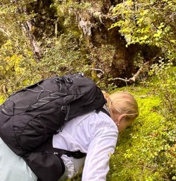 Kepler Track hiking tours