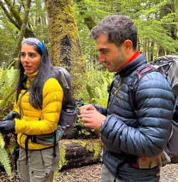 Kepler Track walking tour 