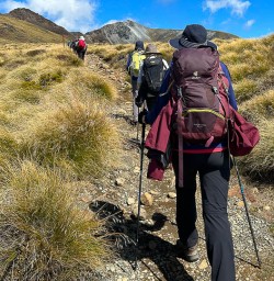 Kepler Track wallking tours 