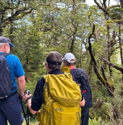 Kepler track adventure hiking tours 