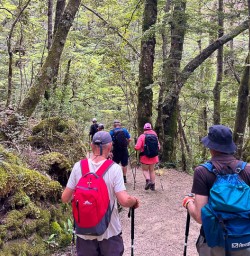 Kepler track walking tours 