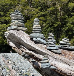 Lake Matheson rock formation