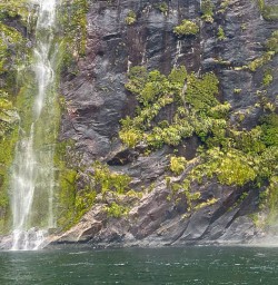 Magnificent waterfalls in Milford Sound 