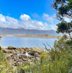 4 Martins Bay Milford Sound2