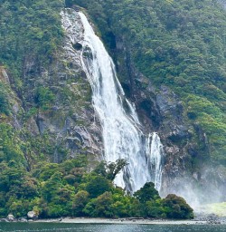 Milford Sound cruise 
