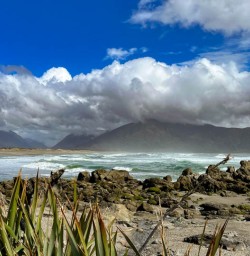 4 Moody Martins Bay2