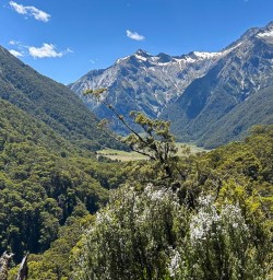 Mount Aspiring National Park 16 December 2024 11