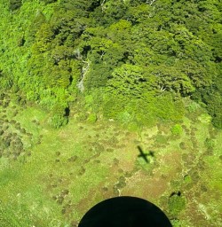 Mount Aspiring National Park 16 December 2024 4