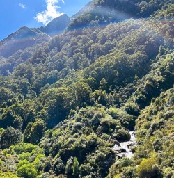 Mount Aspiring National Park 16 December 2024 6