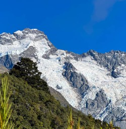 Mount Cook National Park walking tours 