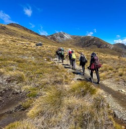 New Zealand walking and hiking adventure tours 