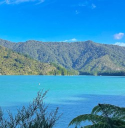 Nydia Track walking and adventure tours