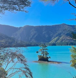 Nydia Track walking and hiking tours 