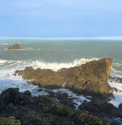 Roaring coastline of the West Coast 