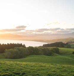 4 Rolling green hills2