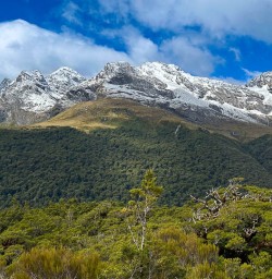 Routeburn Track to Key Summit