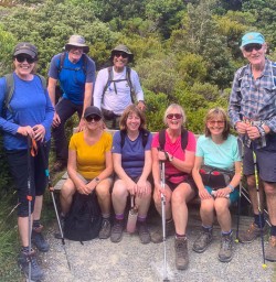 Small group tours