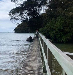 Stewart Island and the Rakiura Track 10 December 2024 3
