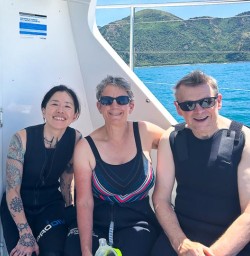 Swim with Dusky Dolphins in Kaikoura 02 December 24 1