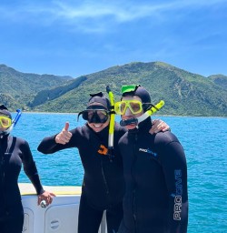 Swim with Dusky Dolphins in Kaikoura 02 December 24 2