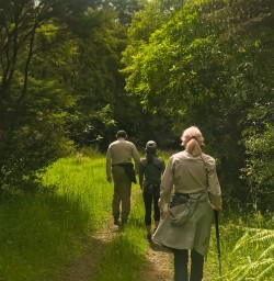 4 The intense greenery of the North Island