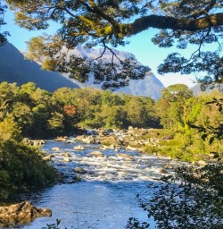 Arthur River at Milford Track, Fiordland National Park Southland New Zealand