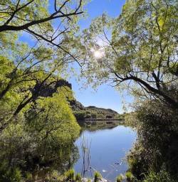 Aspiring national park guided hiking tours.jpg