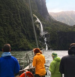 Gazing at waterfalls in the stunning Milford Sound