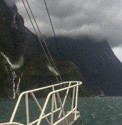 Boat tour at Milford Sound, Fiordland New Zealand
