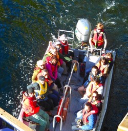 All aboard the tender for the cruise around Milford Sound