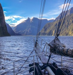 Boat tour at Milford Sound, Fiordland New Zealand