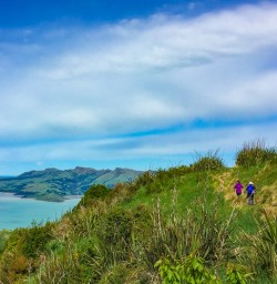 Bridle path hike near Christchurch
