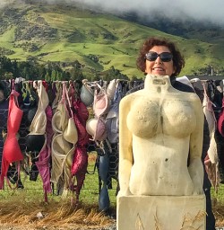 Cardrona valley bra fence