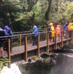 The Chasm Viewing bridge, Cleddau river, Fiordland New Zealand