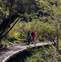 Couple walking at Lake Matheson, West Coast New Zealand
