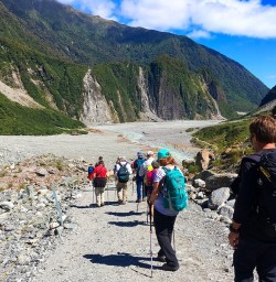 Walking the Fox Glacier Valley Track