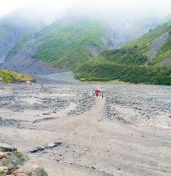 view on fox glacier