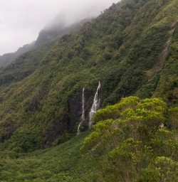 Franz Josef Valley, West Coast New Zealand