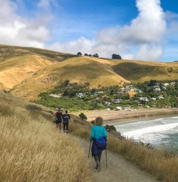 Godley Head hike Christchurch