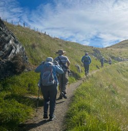 godly head christchurch 28 October 2024 2