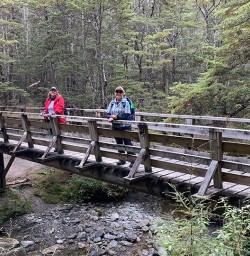 Bridge on Mt Crichton loop track